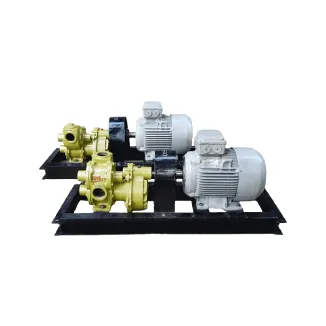 Rotary Gear Pumps & Systems